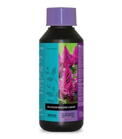 Blossom Builder Liquido 250ml | Atami