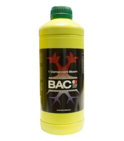 1 Component Bloom | Bac