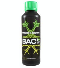 Organic Bloom | Bac