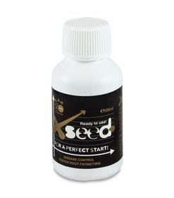 X-Seed | Bac