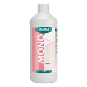 Canna_Fosforo_P_17__1L_FCAN.055.jpg