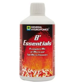 Essentials 500ml | Ghe