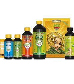 ATA NRG Bi-Bloombastic Box | Atami