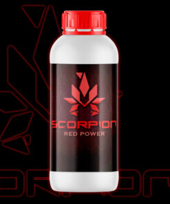 algas scorpion red
