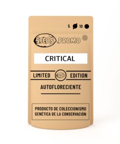 Critical | Autofloreciente | Seeds.promo