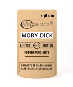 Moby Dick | Fotodependiente | Seeds.promo