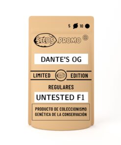 Dante's OG | Regulares | Semilleros Viajeros | Seeds.promo
