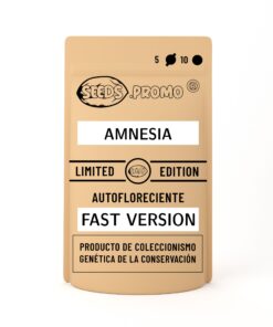 Amnesia | Fast Version | Seeds.promo