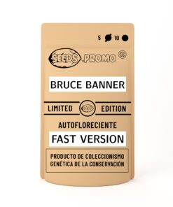 Bruce Banner | Fast Version | Seeds.promo