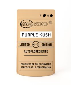 Purple Kush | Autofloreciente | Seeds.promo