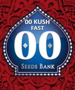 00 Kush Fast Fem — 00 Seeds