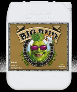 Advanced Nutrients Big Bud Coco Liquid — Advanced Nutrients
