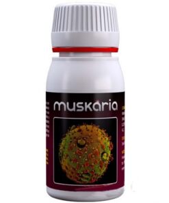 Agrobacterias Muskaria 60ml — Agrobacterias