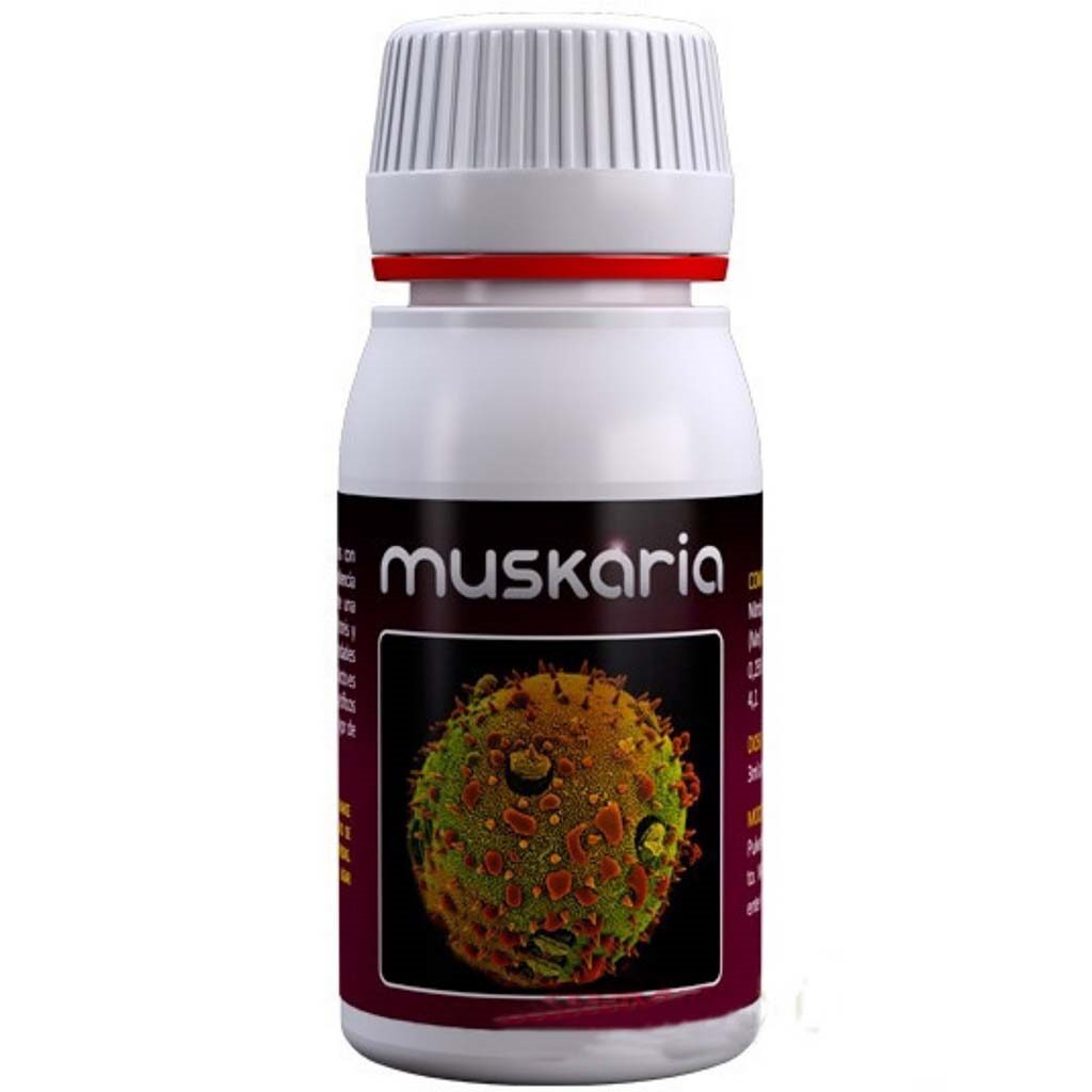 Agrobacterias Muskaria 60ml — Agrobacterias