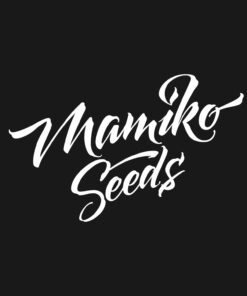Amnesia Cookies Fem 3Und — Mamiko