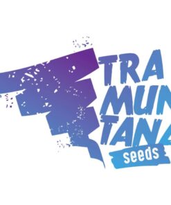 Animal Cookies x Larry OG Fem — Tramuntana Seeds