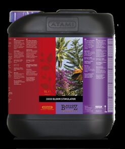 Atami B´Cuzz Coco Bloom Stimulator — Atami