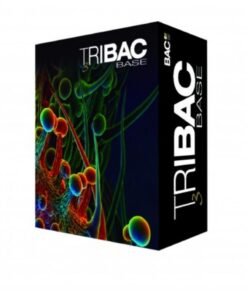 B.A.C. Tribac — B.A.C.
