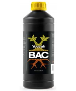 B.A.C. Yuccah — B.A.C.