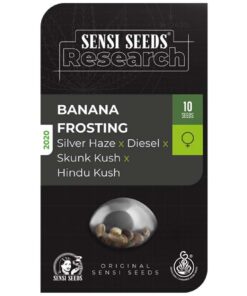Banana Frosting Fem — Sensi Seeds