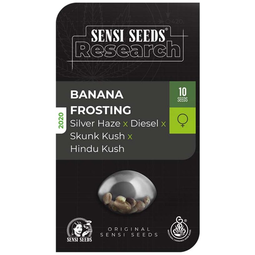 Banana Frosting Fem — Sensi Seeds