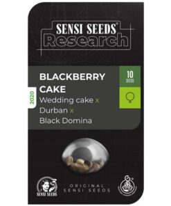 Blackberry Cake Fem — Sensi Seeds