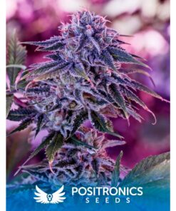 Blue Rhino Fem — Positronics