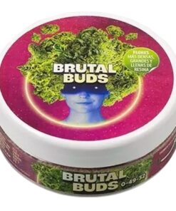 Brutal Buds (250gr a 3.5Kg) — Brutal BUD