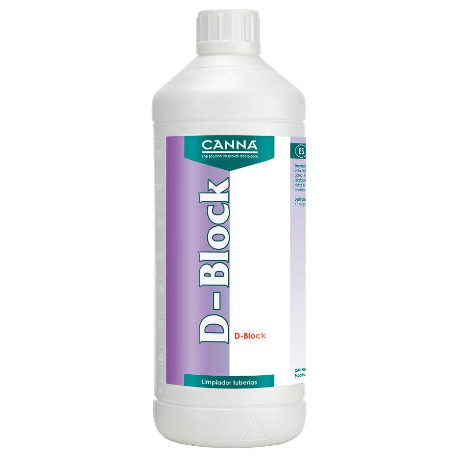 Canna D Block — Canna