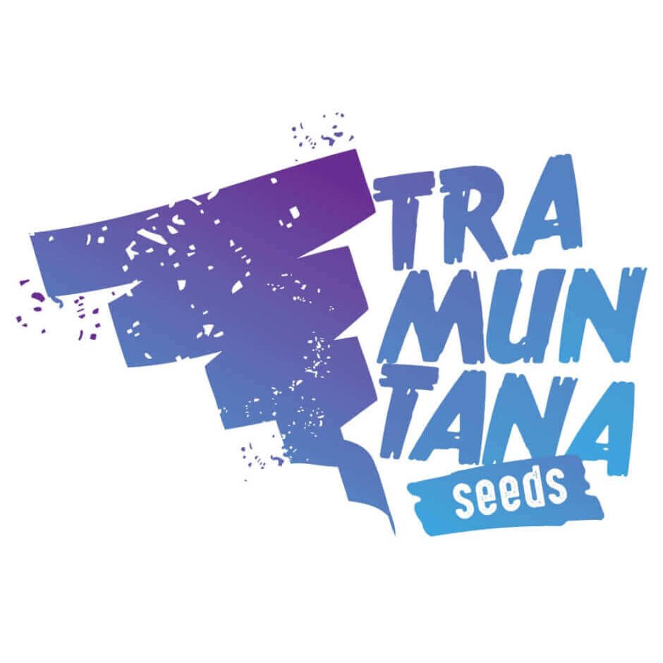 Cherry Mints x Purple Punch Fem — Tramuntana Seeds