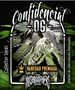 Confidencial OG Fem — The Kush Brothers Seeds
