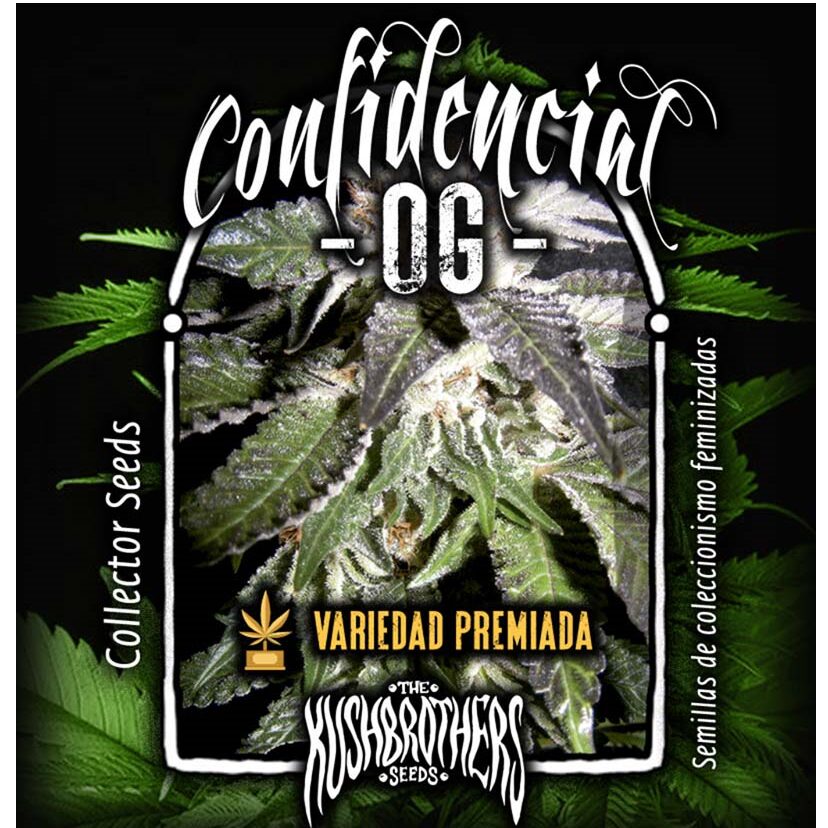 Confidencial OG Fem — The Kush Brothers Seeds Confidencial OG Fem — The Kush Brothers Seeds