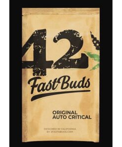 Critical Auto — FastBuds Seeds