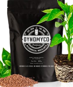 Dynomyco Micorrizas — Dynomyco