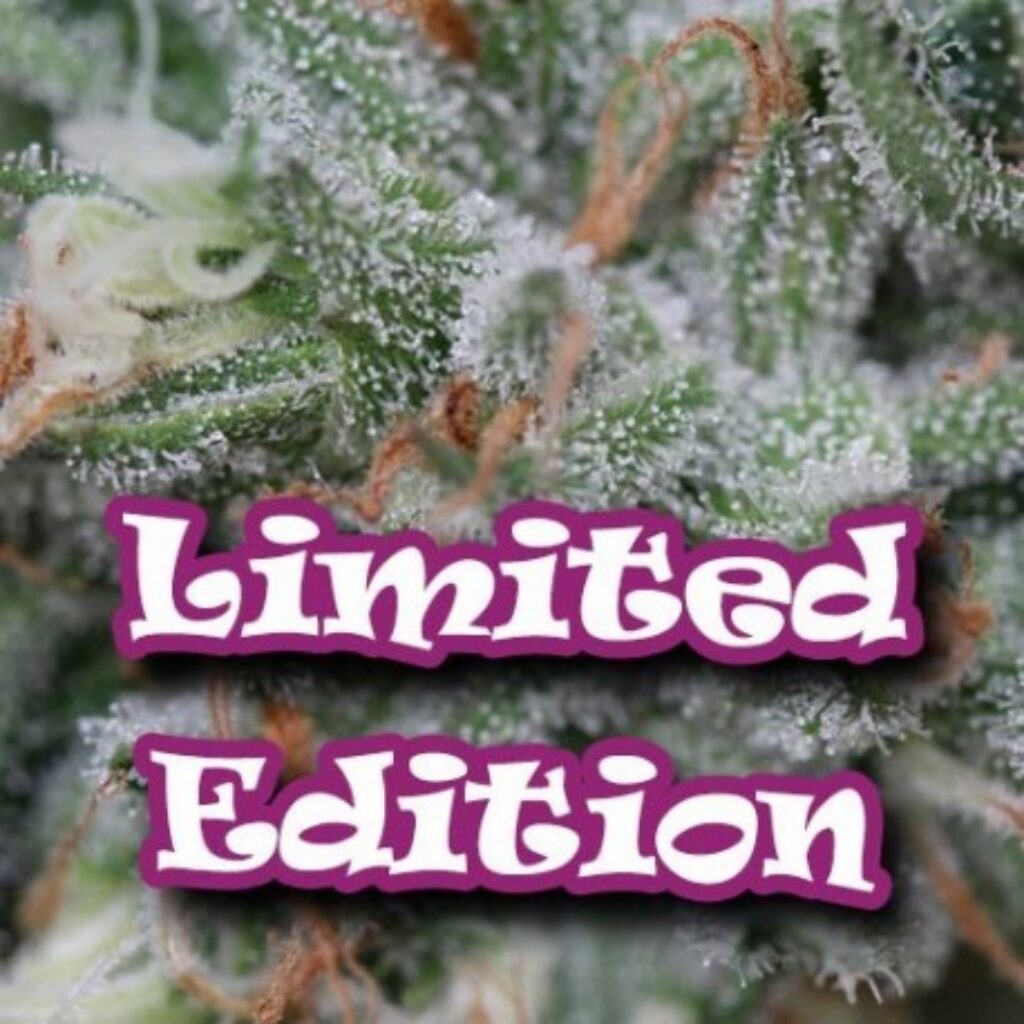 (Edicion Limitada) Sweet Diesel 5Und Fem — Dr Underground