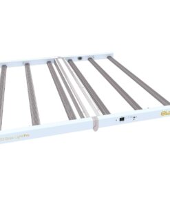 Eluxe Light Pro 720W — Eluxe