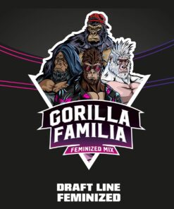 Gorilla Familia Feminized Mix 12Und — BSF Seeds