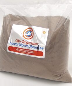 Guanokalong Lava Worm Polvo — Guanokalong
