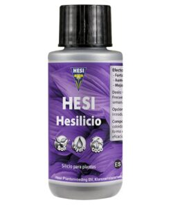 Hesi Hesilicio — Hesi
