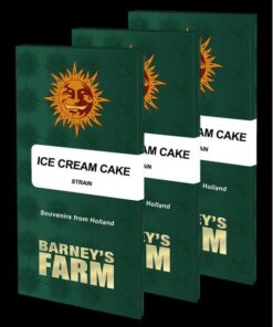 Ice Cream Cake Fem — Barney's Farm