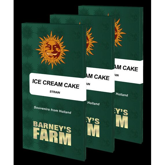 Ice Cream Cake Fem — Barney's Farm