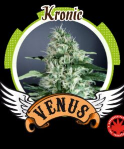 Kronic Fem. — Venus Genetics