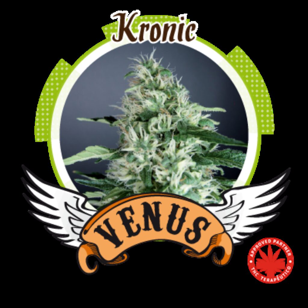 Kronic Fem. — Venus Genetics