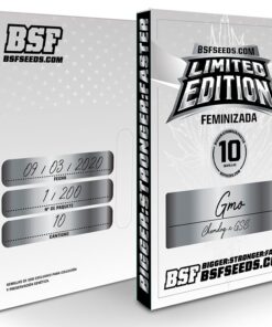 Limited Edition GMO 10Und Fem — BSF Seeds