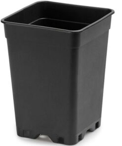 Maceta Cuadrada Inundacion Negra (Pack 55Und) — NaturalBio