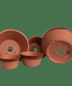 Meliflor Tiesto Prebonsai Terracota — Meliflor