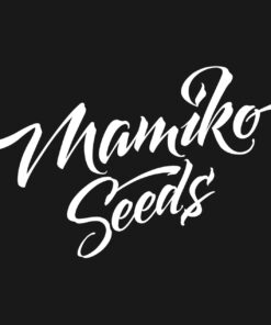 Mimosa Cookies Fem — Mamiko