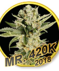 Mr. 420K Fem. — Mr Hide