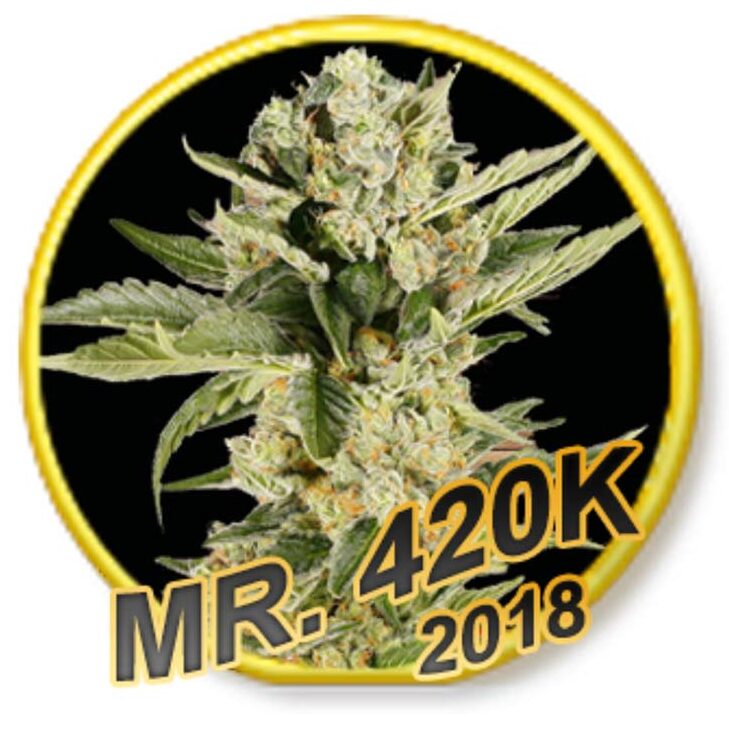 Mr. 420K Fem. — Mr Hide