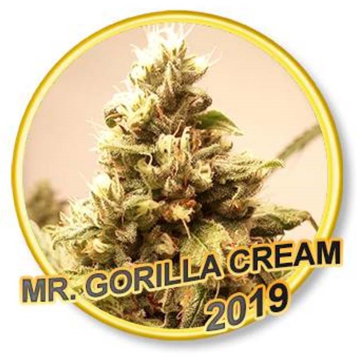 Mr. Gorilla Cream Fem. — Mr Hide